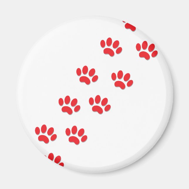 Imán Rutas de gato (Frente)
