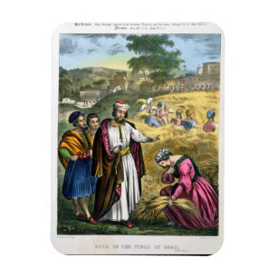 Imán Ruth en el campo de Boaz, de una biblia impresa