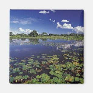 Imán S.A., Brasil, Vías navegables en Pantanal