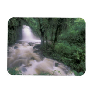 Imán SA, Perú, S.H. Machu Picchu, Cascada y Nubes