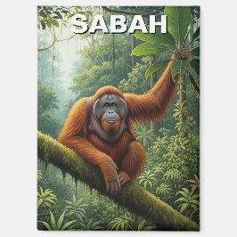 Imán Sabah Malasia Orangután Viaje