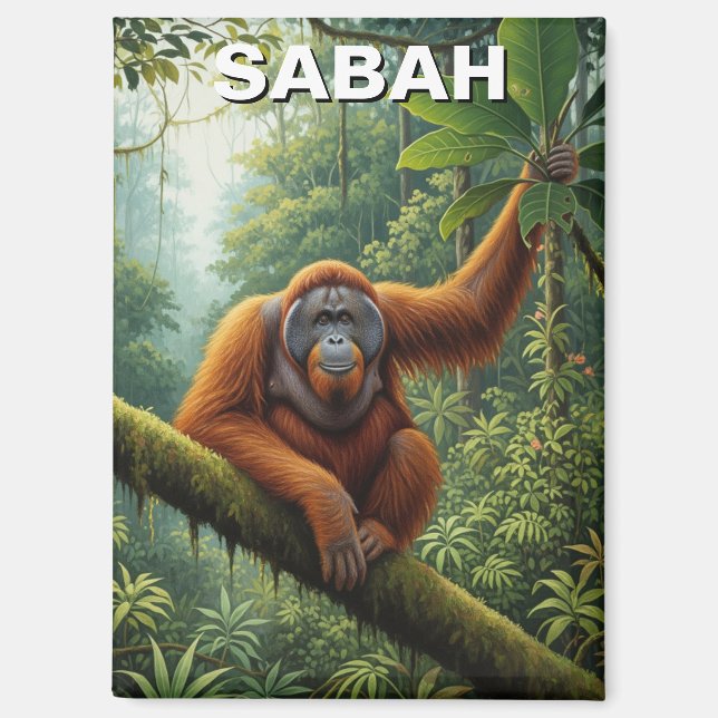 Imán Sabah Malasia Orangután Viaje (Anverso)
