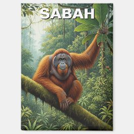 Imán Sabah Malaysia Orangutan Travel