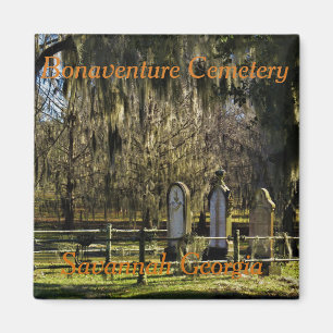 Imán Sabana Bonaventure