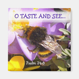 Imán ¡SABER Y VER! ~ Magnet