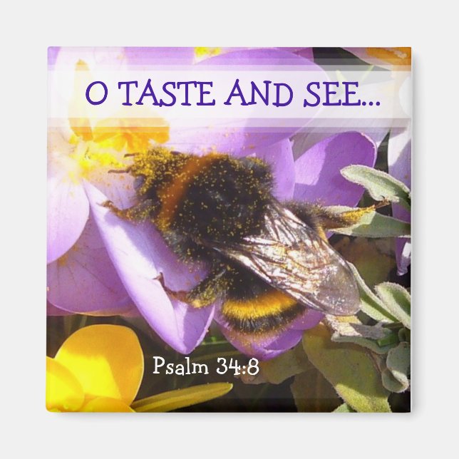 Imán ¡SABER Y VER! ~ Magnet (Frente)