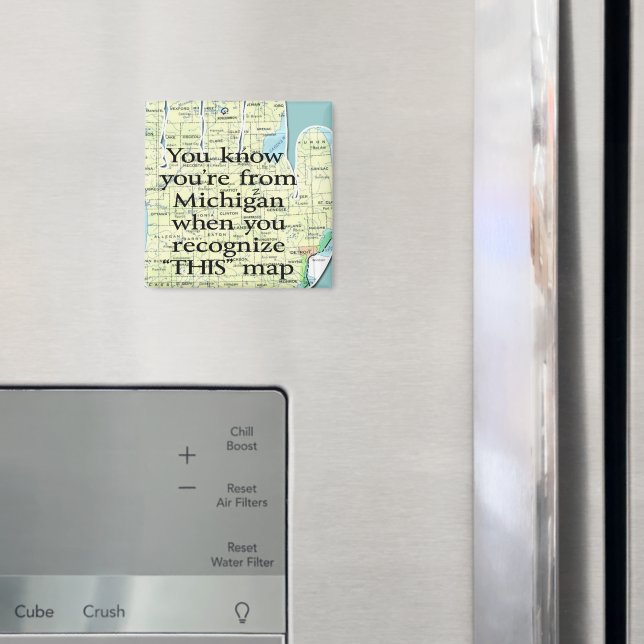 Imán Sabes que eres de Michigan cuando te das cuenta (In situ (nevera))