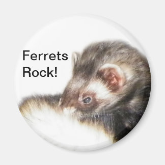 Imán Sable Ferret Picture
