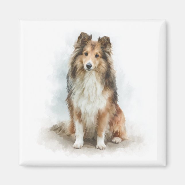 Imán Sable Shetland Sheepdog Watercolor Art (Frente)