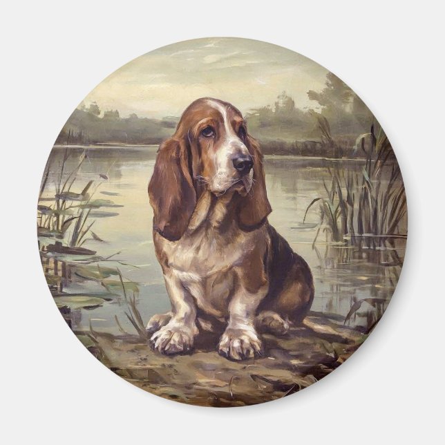 Imán Sabueso Basset (Frente)