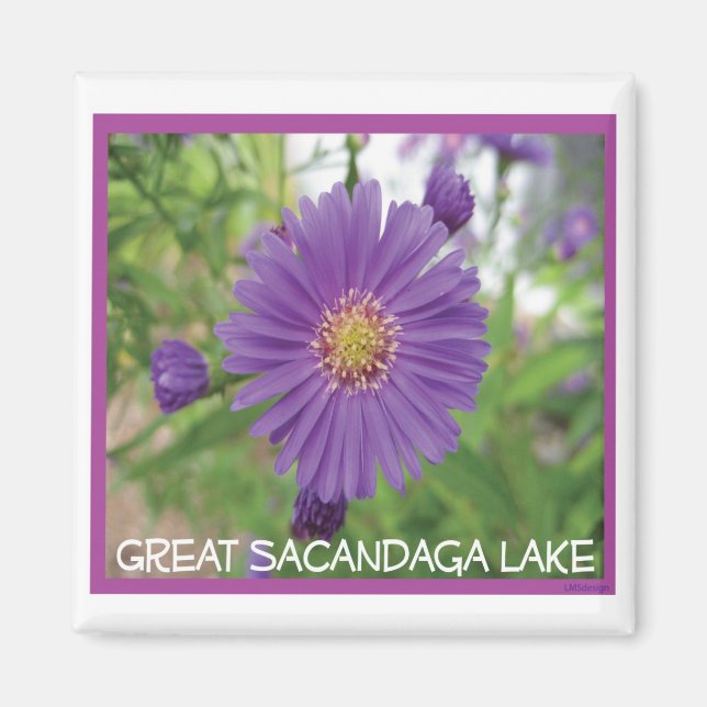 Imán Sacandaga Purple Burst Magnet (Frente)