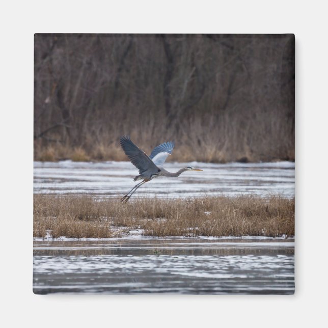 Imán Sacar Heron (Frente)
