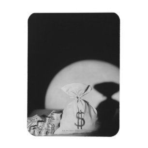 Imán Saco de dinero