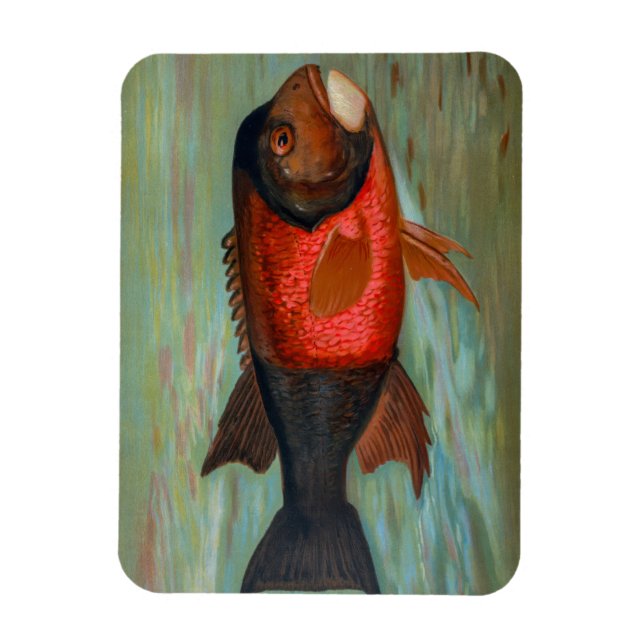 Imán Sacramento Pike por John L Petrie (Vertical)