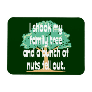 Imán Sacudió mi árbol de familia