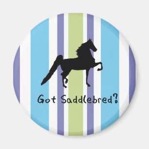 Imán ¿Saddlebred conseguido?