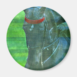 Imán Saddlebred estadounidense