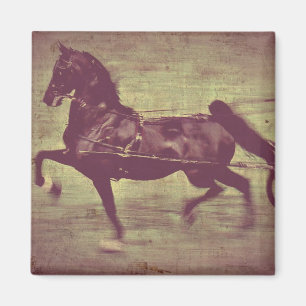 Imán Saddlebred Song
