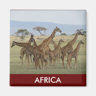 Imán safari de jirafa