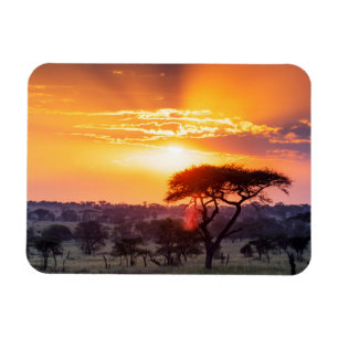 Imán Safari en el Parque Nacional Serengeti