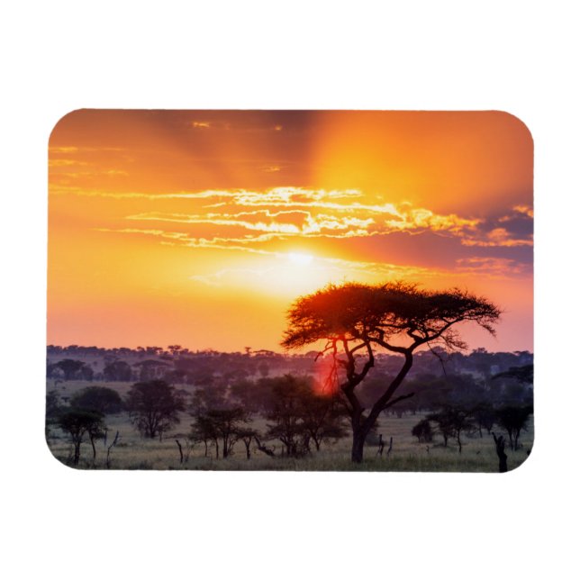 Imán Safari en el Parque Nacional Serengeti (Horizontal)