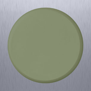 Imán Sage Green Color sólido