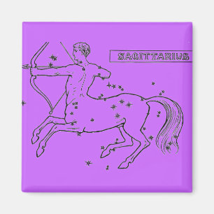 Imán Sagittarius Magnet