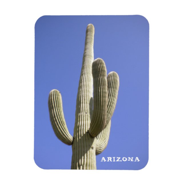Imán Saguaro Cactus - Arizona - Magnet (Vertical)