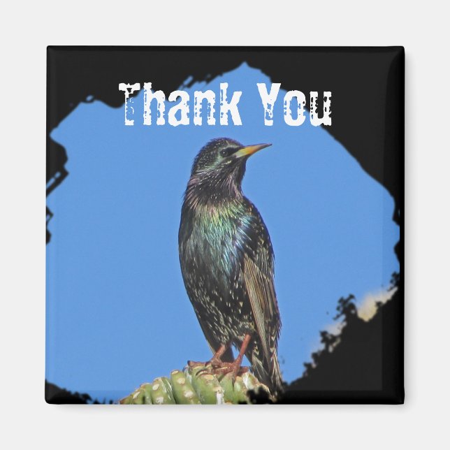 Imán Saguaro Cactus Hermoso Pájaro Suroeste (Frente)