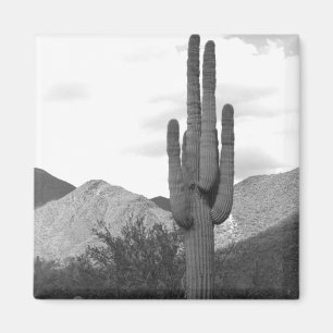 Imán Saguaro Cactus Refrigerador del Desierto Sonorano