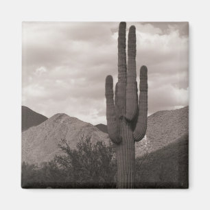 Imán Saguaro Cactus Refrigeradores del Desierto Sonoran