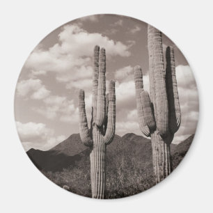 Imán Saguaro Cactus Refrigeradores del Desierto Sonoran