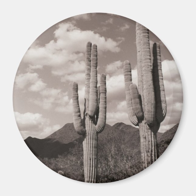 Imán Saguaro Cactus Refrigeradores del Desierto Sonoran (Frente)