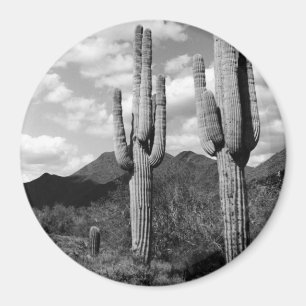 Imán Saguaro Cactus Refrigeradores del Desierto Sonoran