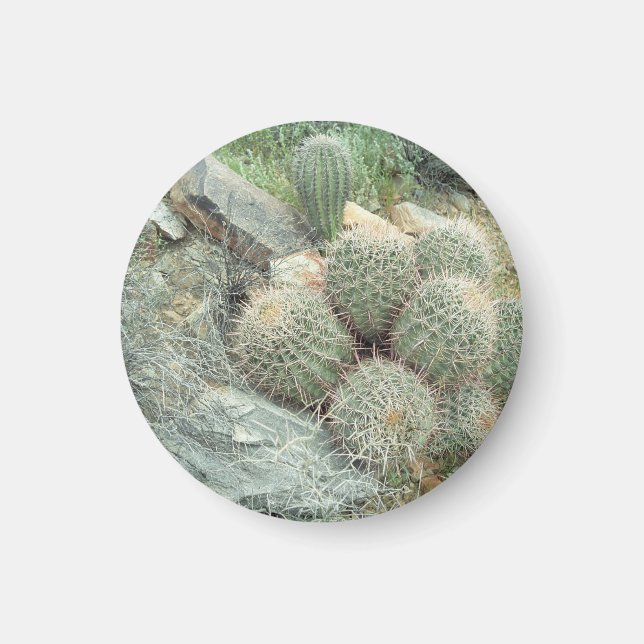 Imán Saguaro Swirl Cactus Refrigerator Gift Magnet (Frente)