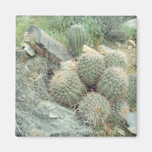 Imán Saguaro Swirl Cactus Refrigerator Gift Magnet