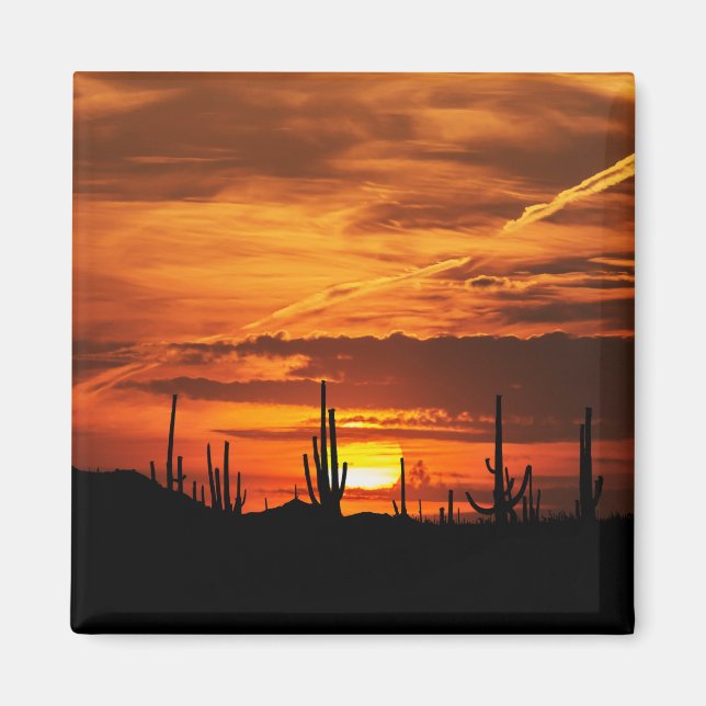 Imán Saguaros escénicos al atardecer (Frente)
