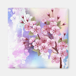 Imán Sakura rosa sobre fondo de pintura
