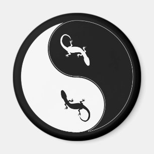 Imán Salamander de Yin Yang