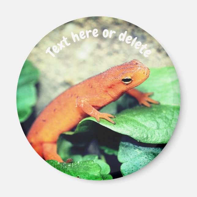 Imán Salamandra Red Eft Naturaleza Personalizada (Frente)
