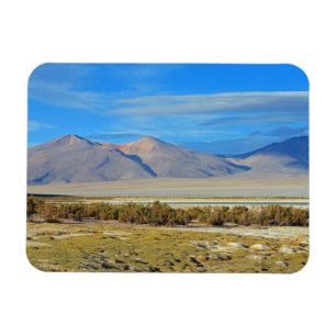 Imán Salar del Huasco, Chile