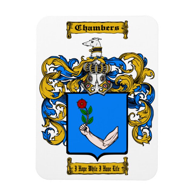 Imán Salas (Irlanda) (Vertical)