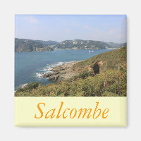 Salcombe, Devon