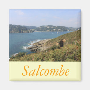 Imán Salcombe, Devon
