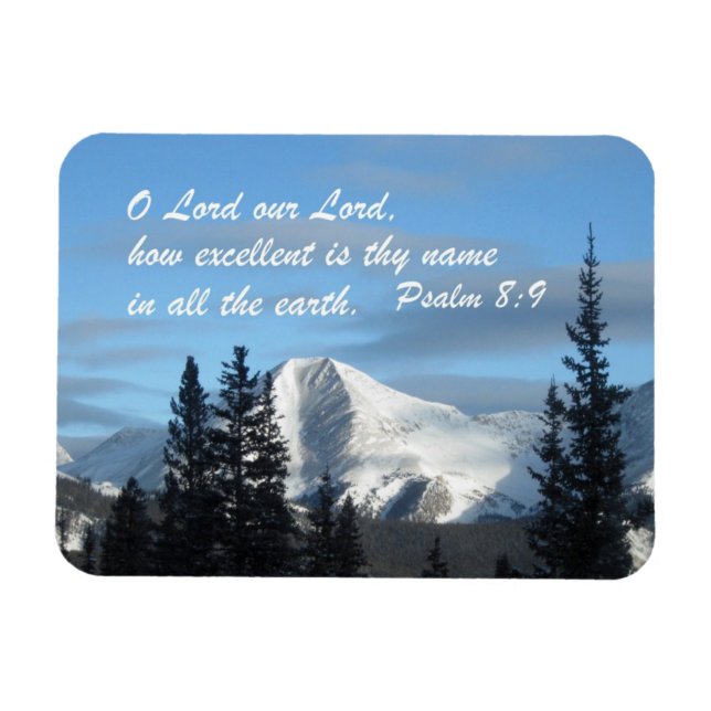 Imán Saldo 8:9 (Horizontal)