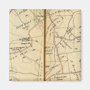 Imán Salem, Nueva York