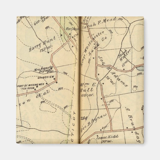 Imán Salem, Nueva York (Frente)