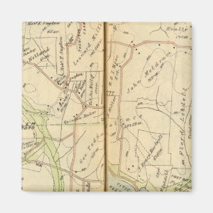 Imán Salem, Nueva York