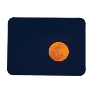 Imán Salida de la luna del Super Moon Savannah, Georg