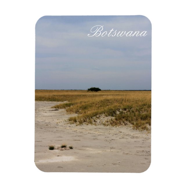 Imán Salinas Paisanas Botsuanas Savannah (Vertical)